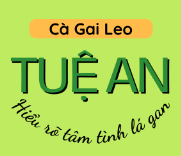 Công ty TNHH Dược liệu Tuệ An